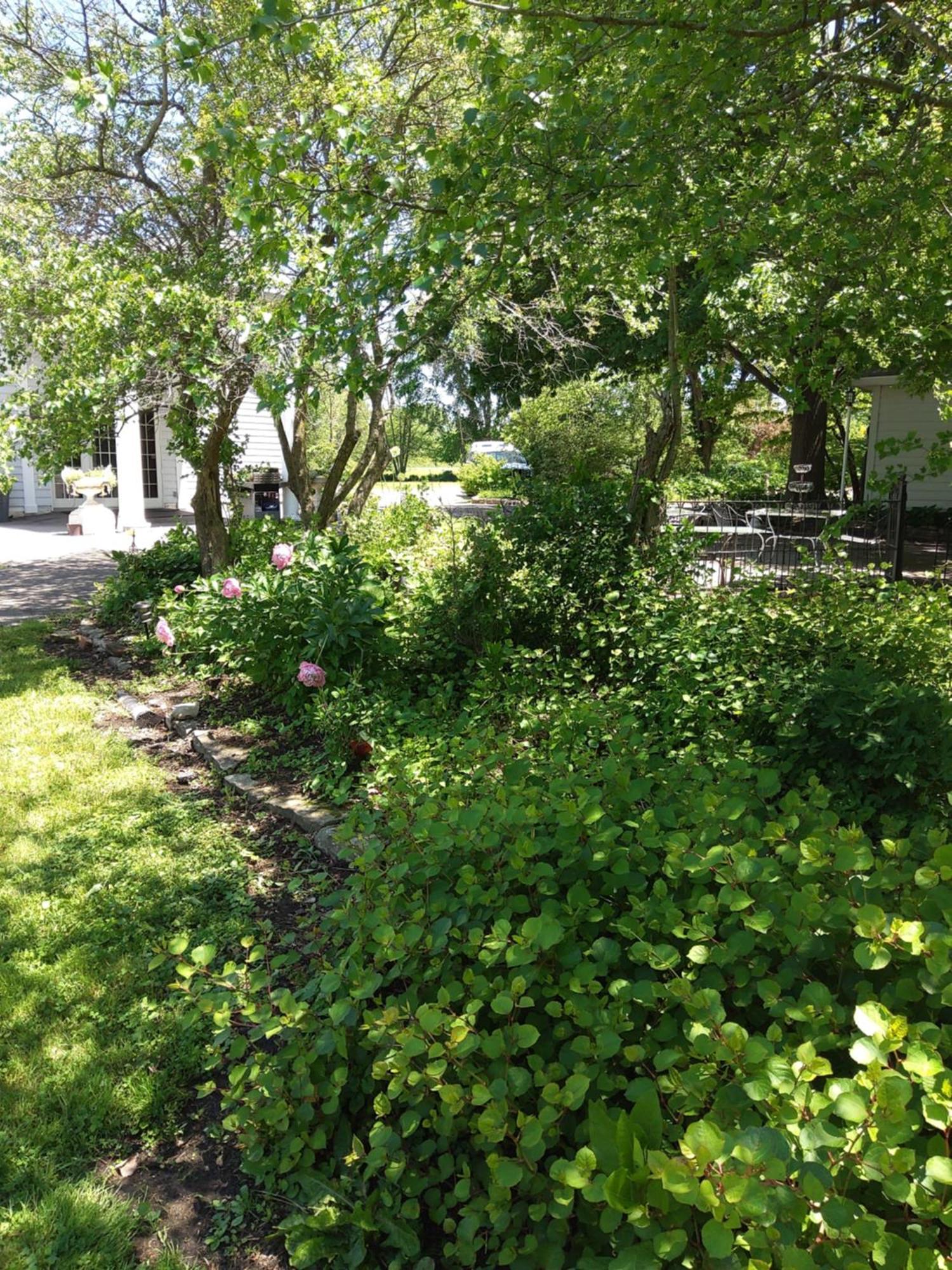 Inntiquity, A Country Inn Logansport Luaran gambar